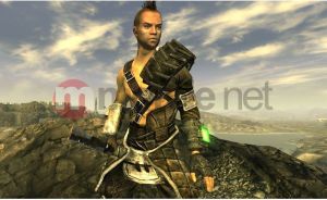 Fallout New Vegas PC 2