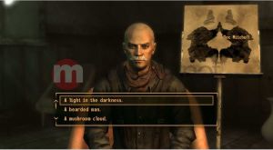 Fallout New Vegas PC 10