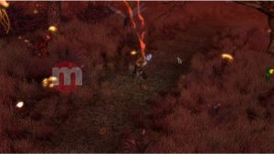 Sacred 2 Władca Smoków PC 2