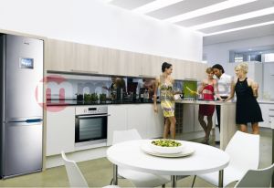 Lodówka Samsung RL55VQBRS 3