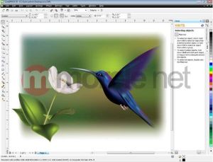 Corel DRAW Graphics Suite X5 Small Business Edition EN 3User Win Box (CDGSX5IESBE) 4