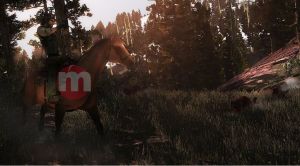 Red Dead Redemption Undead Nightmare 12