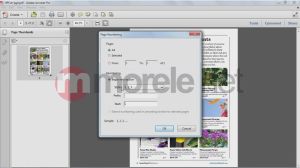 Adobe Acrobat Pro v.10 PL Win Ret 3