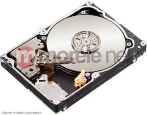 Dysk serwerowy Seagate Constellation ES 1 TB 2.5'' SAS-2 (6Gb/s)  (ST91000640SS) 1