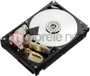 Dysk Hitachi 2 TB 3.5" SATA III (HDS5C3020ALA632) 1