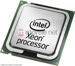 Procesor serwerowy Intel Xeon E3-1235 3,2GHz 8MB GF LGA1155 BX80623E31235 1
