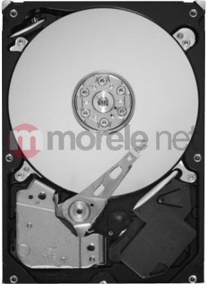 Dysk Seagate 1 TB 3.5" SATA II (ST1000DL002) 1
