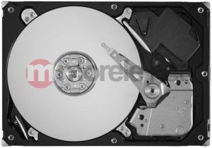 Dysk Seagate 1 TB 3.5" SATA II (ST1000DL002) 2
