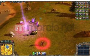 Majesty Antologia PC 9