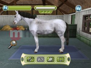 Młody Doktor 3: Lecznica dla zwierząt PC 2