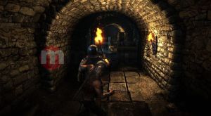 Wiedźmin 2: Zabójcy Królów - Edycja Premium PC 4