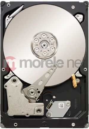 Dysk Seagate 3 TB 3.5" SATA III (ST33000650NS) 1