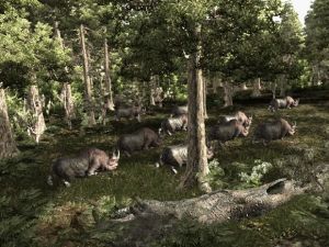 Gothic Universe Edition PC, wersja cyfrowa 9