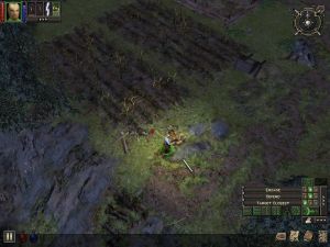 Dungeon Siege PC, wersja cyfrowa 11