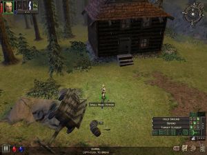 Dungeon Siege PC, wersja cyfrowa 12