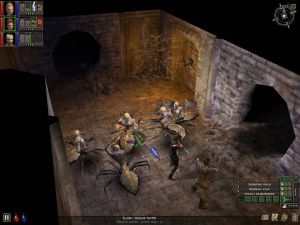 Dungeon Siege PC, wersja cyfrowa 14