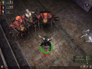 Dungeon Siege PC, wersja cyfrowa 15