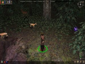 Dungeon Siege PC, wersja cyfrowa 8