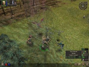 Dungeon Siege PC, wersja cyfrowa 9