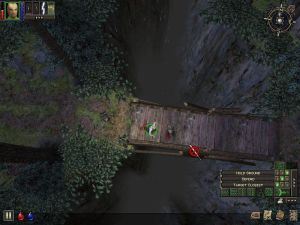 Dungeon Siege PC, wersja cyfrowa 10