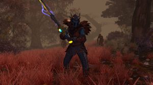 Sacred 2: GOLD PC, wersja cyfrowa 5