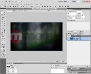 Adobe CS 5.5 Web Premium PL Win Box (65118805) 5