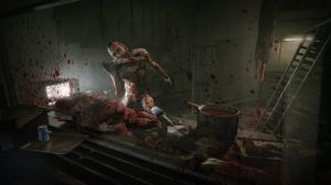 Outlast + Outlast: Whistleblower PC, wersja cyfrowa 2