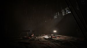 Outlast + Outlast: Whistleblower PC, wersja cyfrowa 8