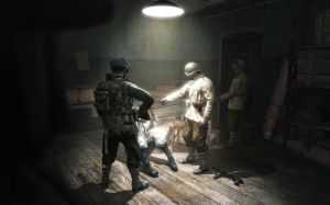 Call of Duty: World at War PC, wersja cyfrowa 2