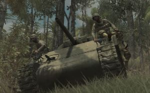 Call of Duty: World at War PC, wersja cyfrowa 6