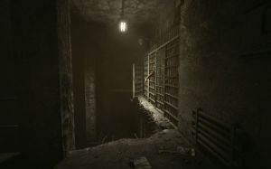 Outlast PC, wersja cyfrowa 9