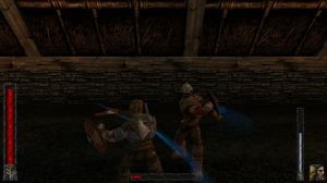 Rune Classic PC, wersja cyfrowa 11