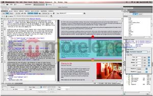 Adobe Program Dreamweaver CS5.5 v.11.5 PL Mac Ret (65101265) 2