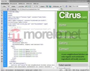 Adobe Program Dreamweaver CS5.5 v.11.5 PL Mac Ret (65101265) 3