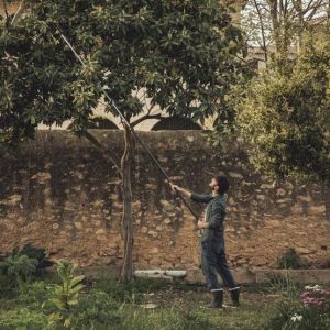 Sekator Fiskars PowerGear X UPX86 kowadełkowy 4