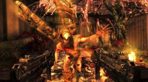 Shadow Warrior: Special Edition PC, wersja cyfrowa 3