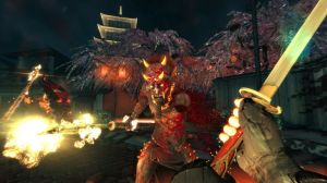 Shadow Warrior: Special Edition PC, wersja cyfrowa 5