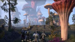 The Elder Scrolls Online: Tamriel Unlimited + Morrowind PC, wersja cyfrowa 5