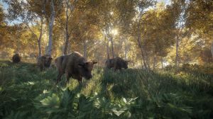 theHunter: Call of the Wild PC, wersja cyfrowa 14