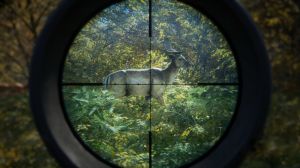 theHunter: Call of the Wild PC, wersja cyfrowa 3