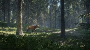 theHunter: Call of the Wild PC, wersja cyfrowa 8