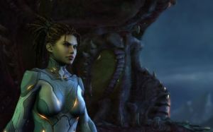 Starcraft 2: Heart of the Swarm Key Blizzard GLOBAL 8