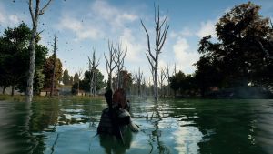 PLAYERUNKNOWN'S BATTLEGROUNDS (PUBG) PC, wersja cyfrowa 8