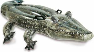 Intex Materac do pływania Aligator 170x86 cm (57551NP) 1