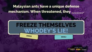 The Jackbox Party Pack 2 PC, wersja cyfrowa 18