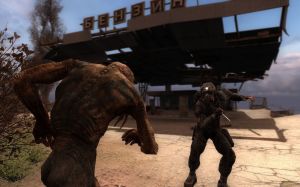 S.T.A.L.K.E.R. Call of Pripyat PC, wersja cyfrowa 13