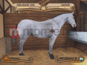 Techland Diamentowa Kolekcja Konie i Kucyki PC 2