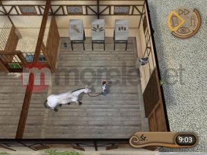 Techland Diamentowa Kolekcja Konie i Kucyki PC 3