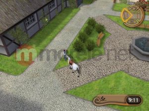 Techland Diamentowa Kolekcja Konie i Kucyki PC 4