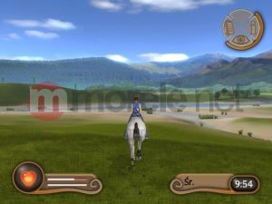 Techland Diamentowa Kolekcja Konie i Kucyki PC 8